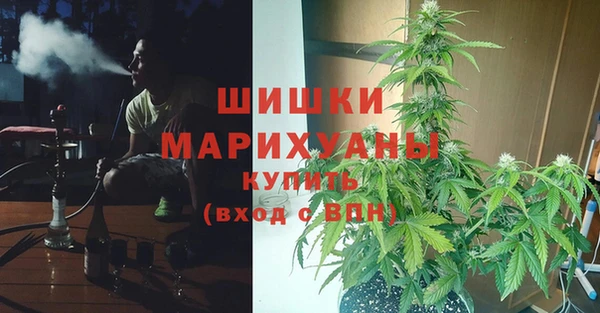 гашик Зеленодольск