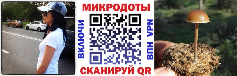Галлюциногенные грибы прущие грибы  Искитим 