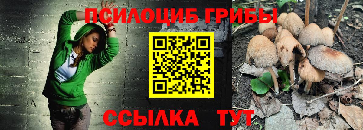 Галлюциногенные грибы MAGIC MUSHROOMS Искитим