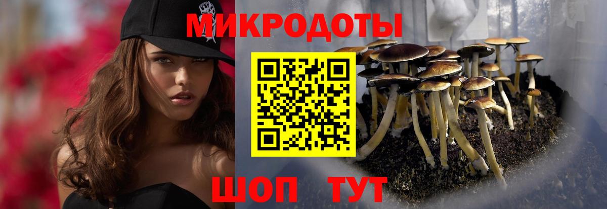 Псилоцибиновые грибы GOLDEN TEACHER  Псилоцибиновые грибы мухоморы  Искитим  Вход с VPN 